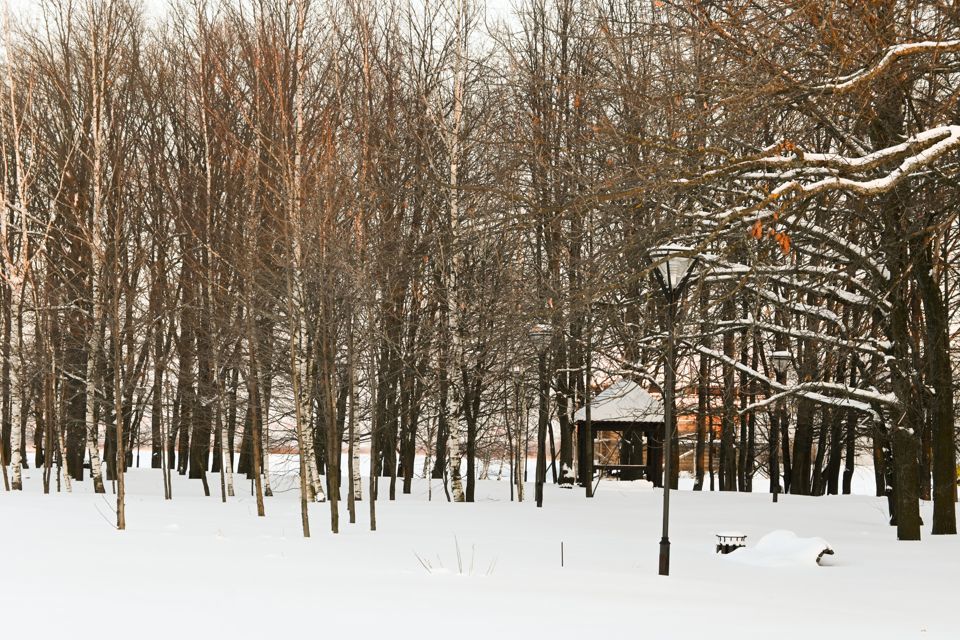 земля р-н Кстовский фото 1