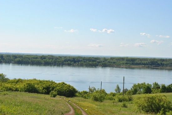 земля р-н Ставропольский с Ермаково ул Тольяттинская фото 1