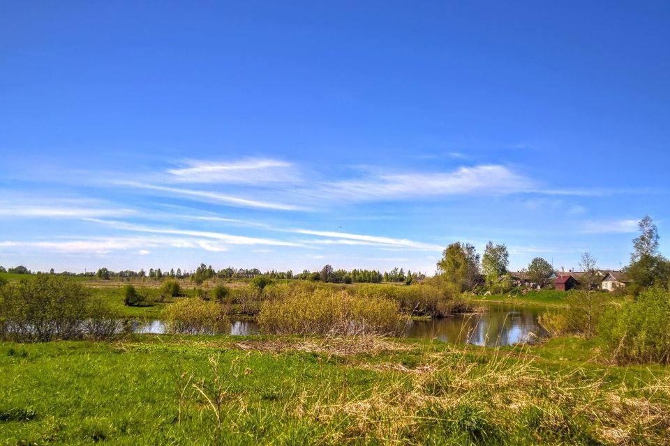 земля р-н Островский фото 10