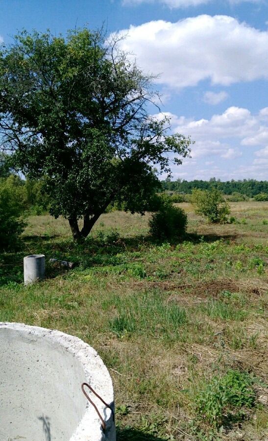 земля р-н Белгородский с Отрадное ул Советская Октябрьский фото 2