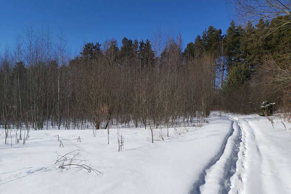 земля р-н Александровский г Александров фото 1