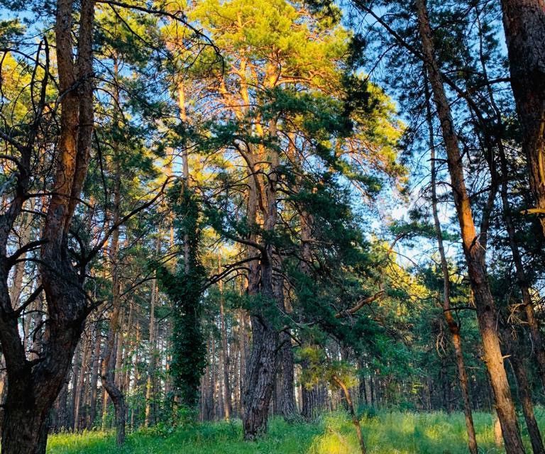 земля р-н Красноярский фото 2