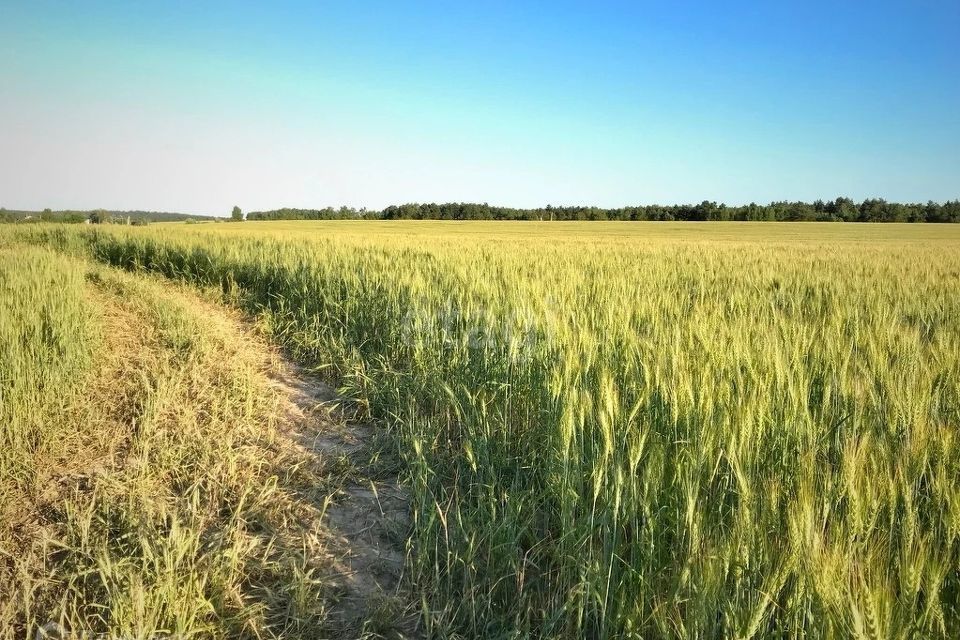 Ивановка ИЖС. Ивановка ИЖС Домодедовский. Участок Ивановка Домодедово.