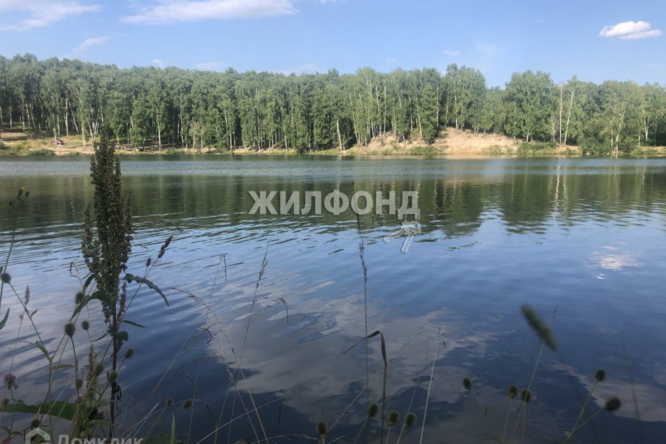 земля г Новосибирск фото 1