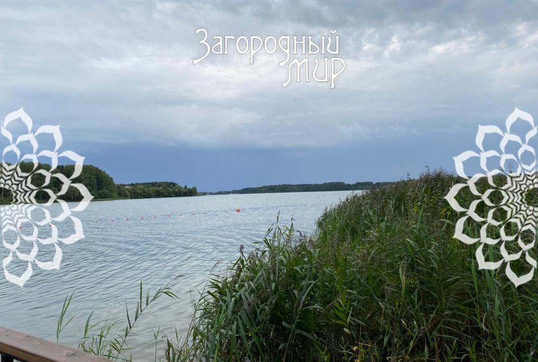 земля городской округ Истра д Родионцево фото 3