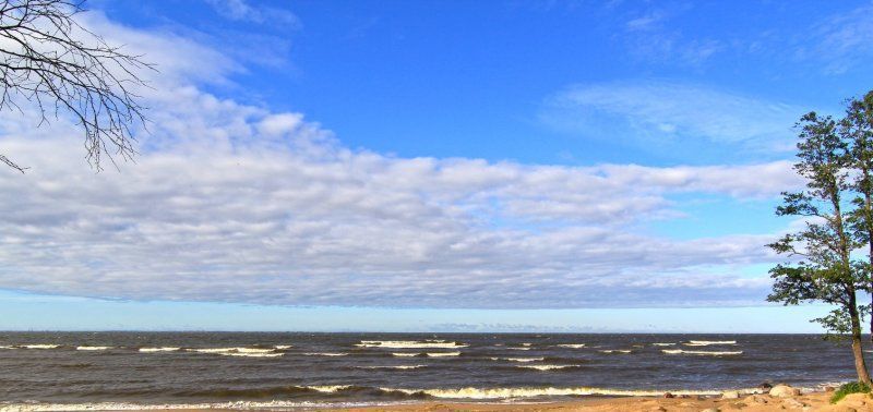 земля г Санкт-Петербург ш Приморское 2ал Беговая, 4к фото 3