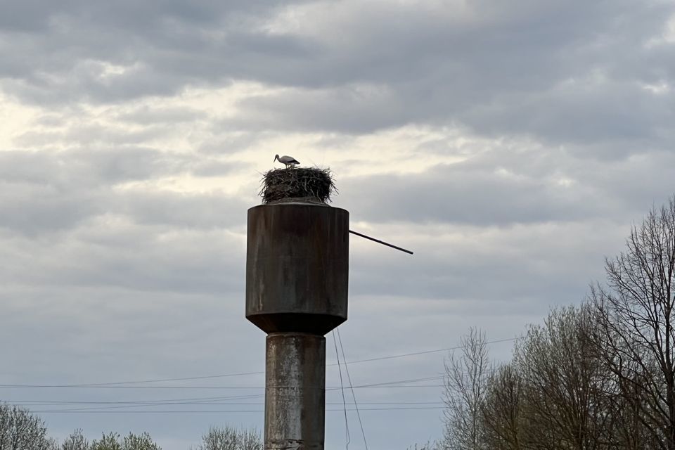 земля р-н Боровский фото 5