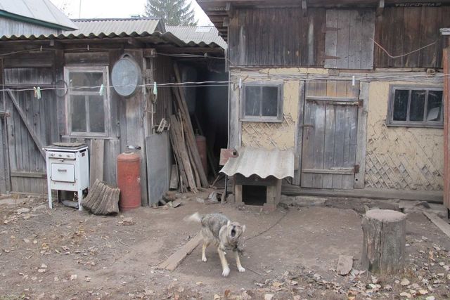 село Комаровка фото
