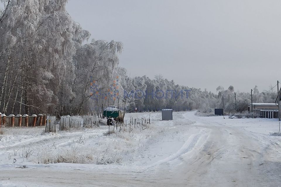 земля р-н Кстовский д Чеченино ул Яблоневая 14 фото 7