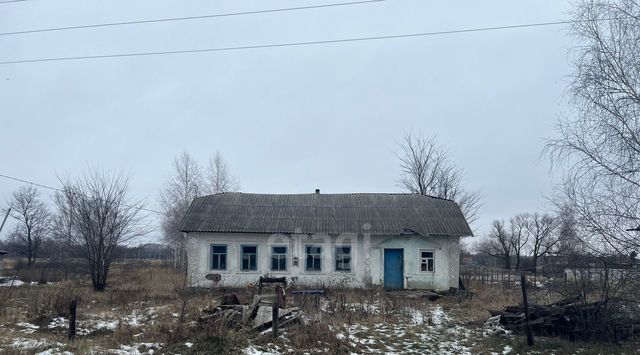 Стаевский сельсовет фото