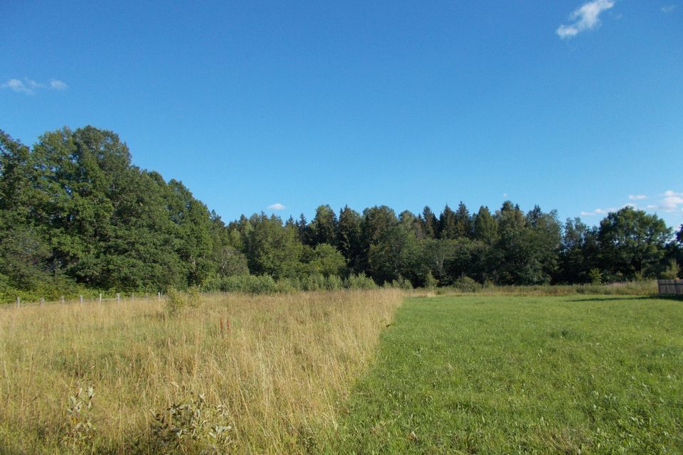 дом р-н Кувшиновский д Лопатино фото 6