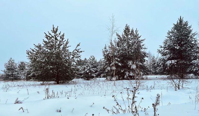 городской округ Воскресенск г Белоозёрский г. о. Воскресенск фото