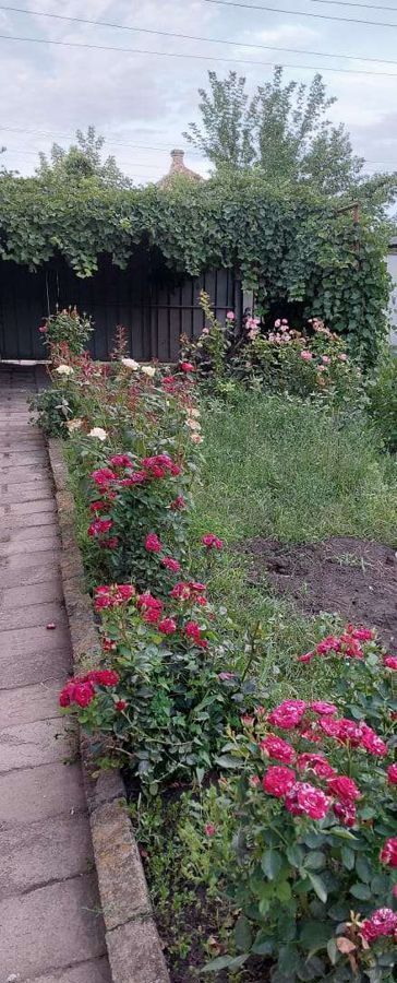 дом р-н Ровеньский п Ровеньки ул Красная Лисичанский городской совет, Лисичанск фото 2