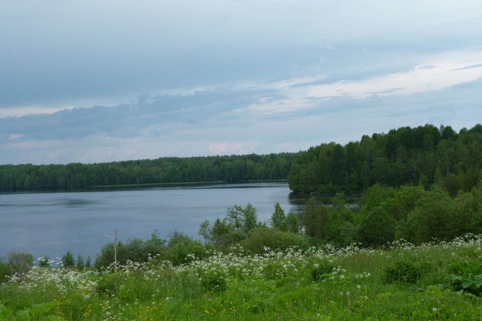 земля р-н Лодейнопольский д Люговичи фото 3