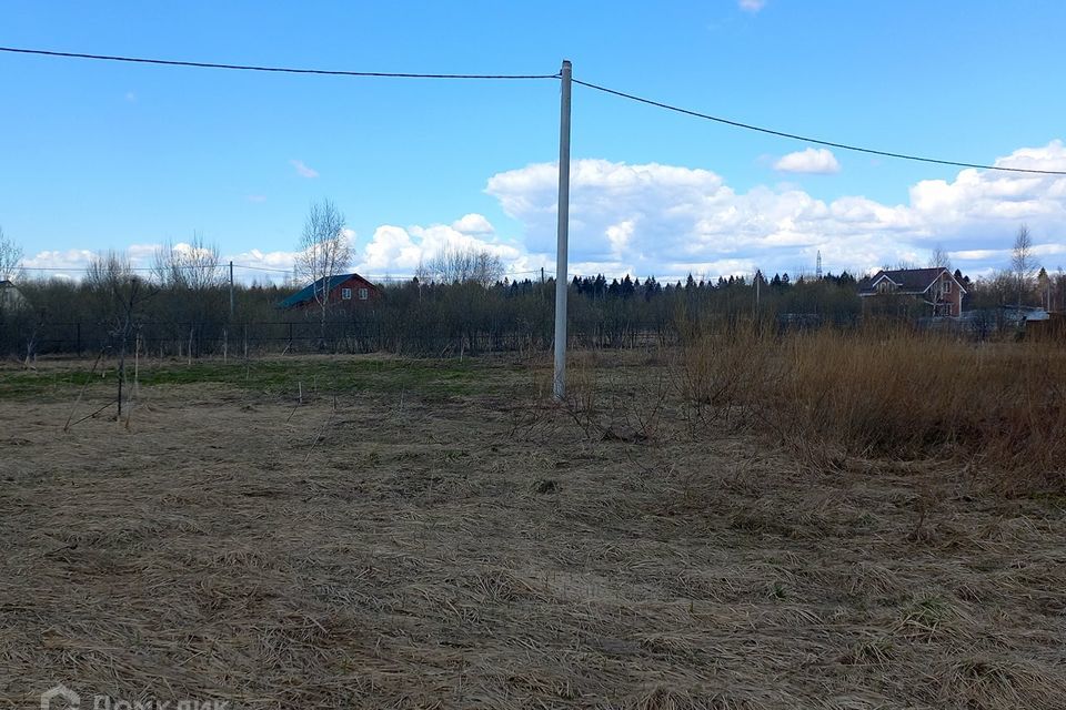 земля городской округ Дмитровский д Щетнево фото 3