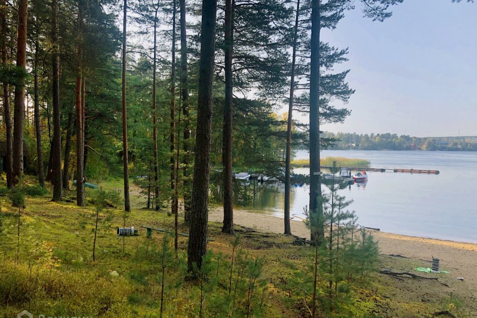 земля р-н Приозерский фото 1