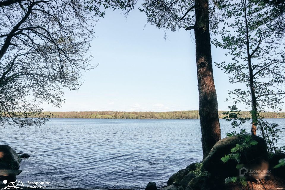 земля р-н Выборгский фото 1