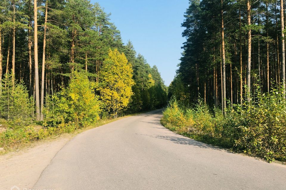 земля р-н Приозерский фото 3