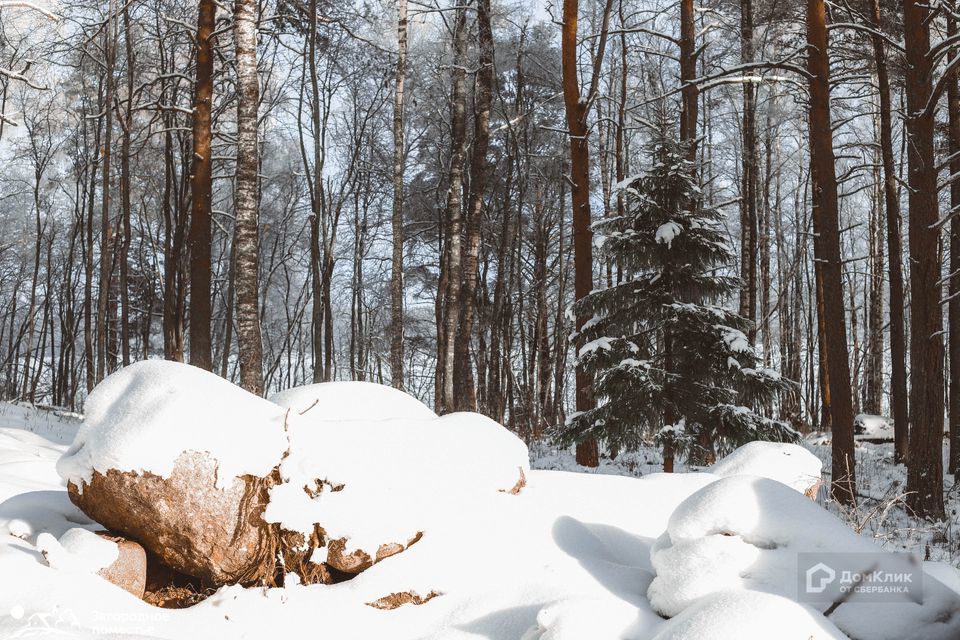 земля р-н Выборгский фото 4