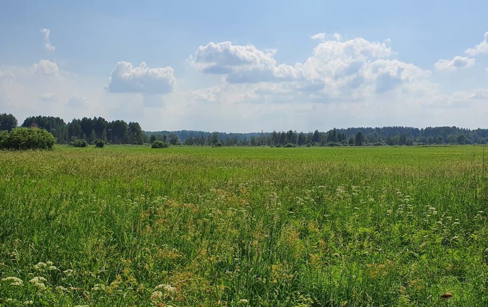 земля р-н Приозерский фото 4