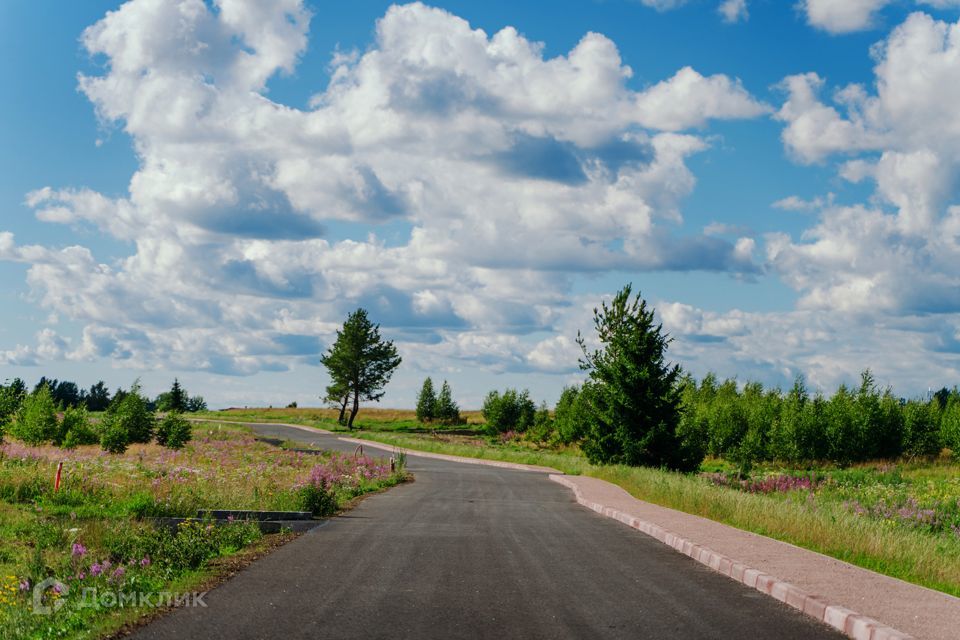 земля р-н Выборгский фото 3