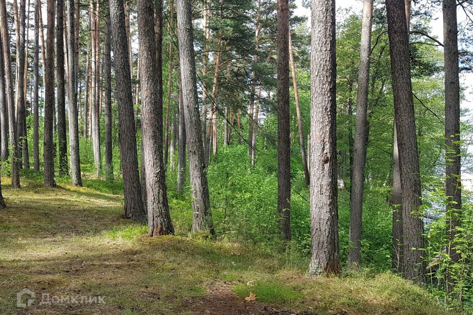 земля р-н Приозерский фото 7