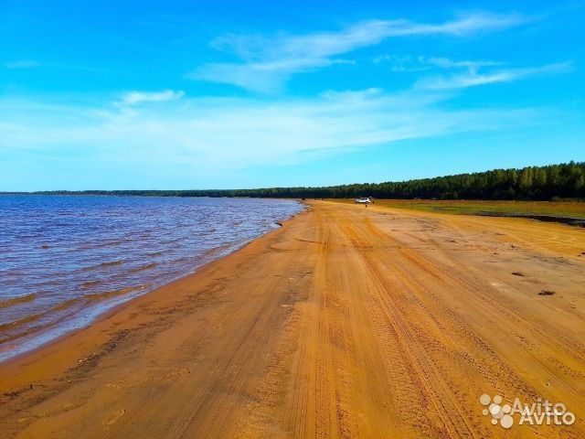 земля р-н Приозерский фото 2