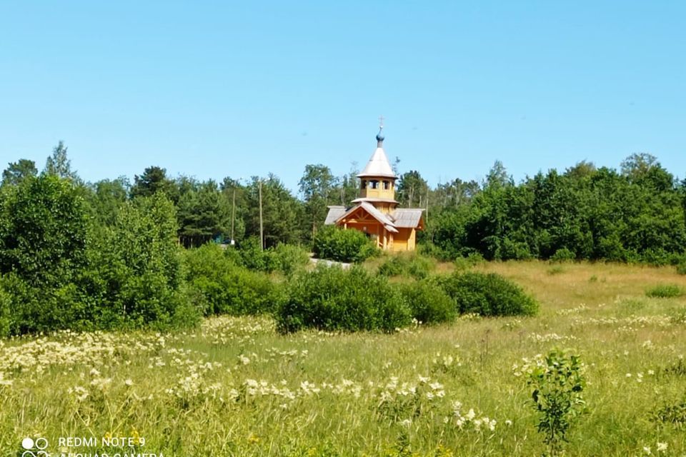 земля р-н Приозерский фото 3