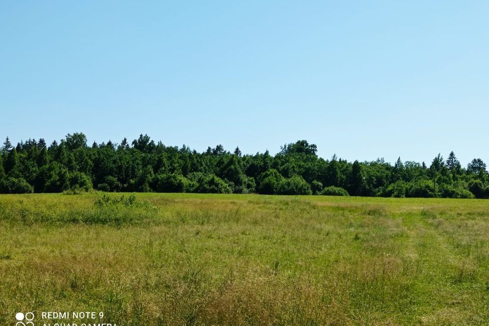 земля р-н Приозерский фото 4