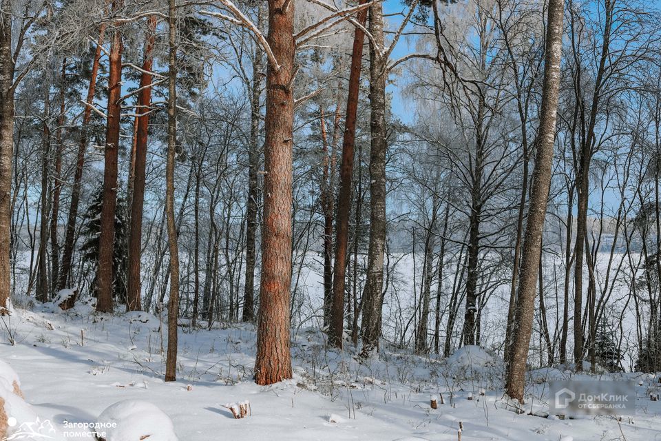 земля р-н Выборгский фото 6