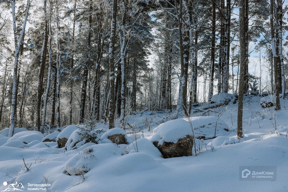 земля р-н Выборгский фото 8