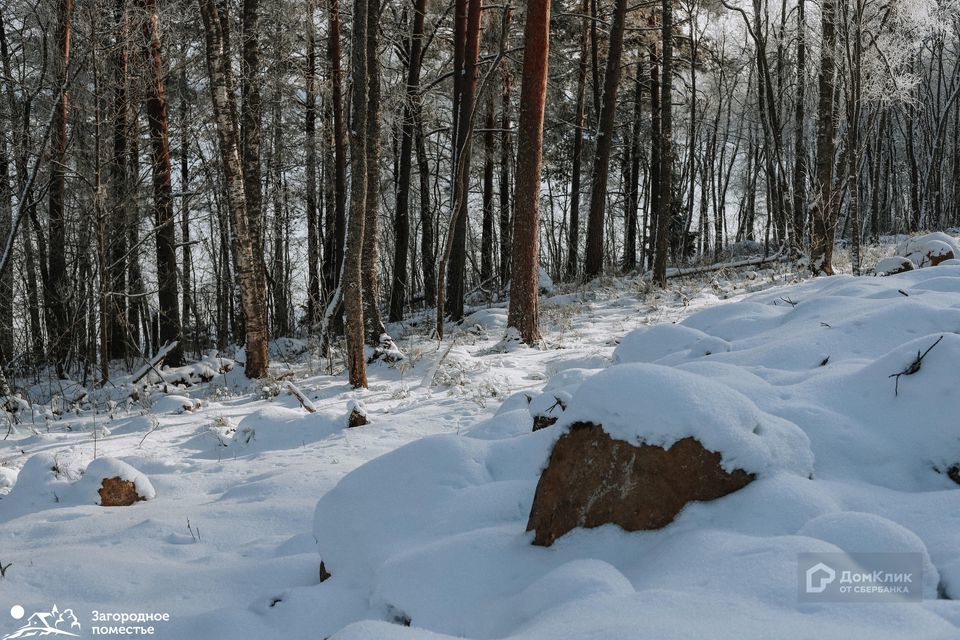 земля р-н Выборгский фото 7