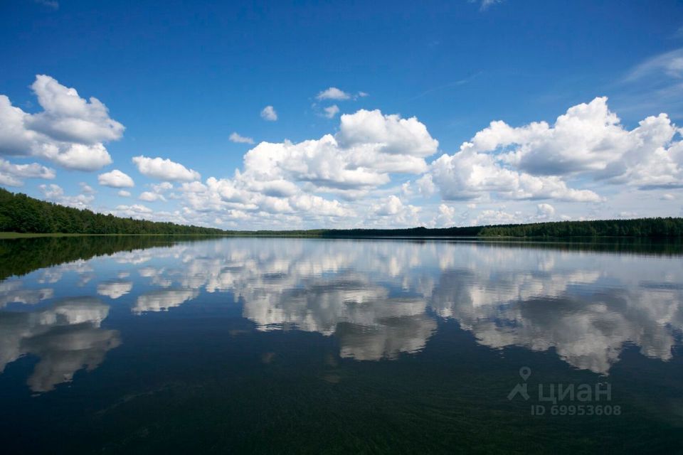 земля р-н Выборгский фото 5