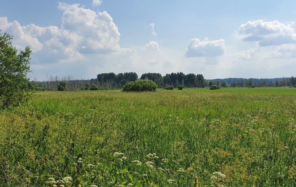 земля р-н Приозерский фото 5