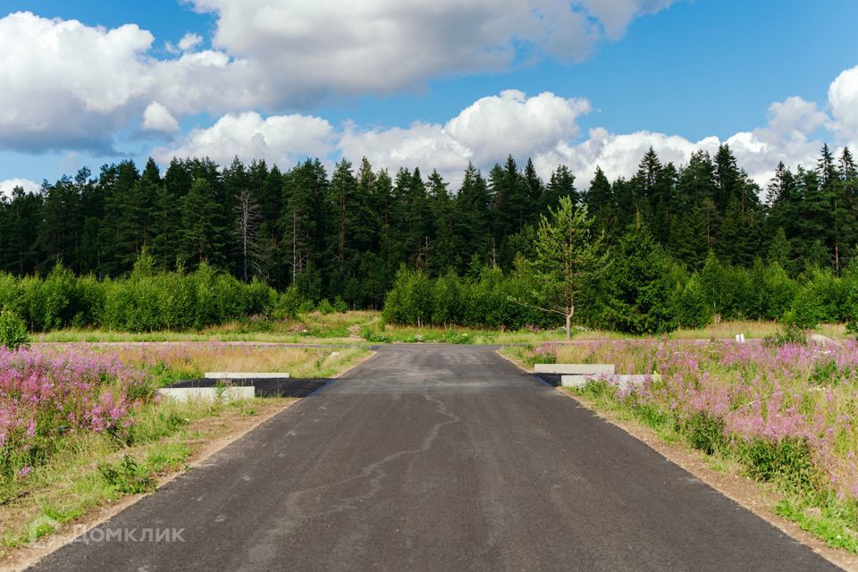 земля р-н Выборгский фото 7