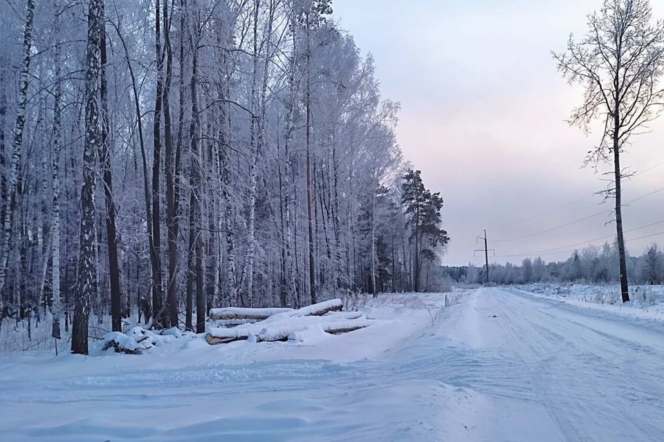 дом р-н Нижнетавдинский фото 10