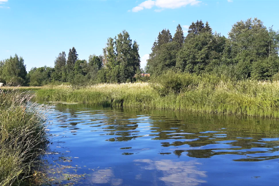 земля р-н Гатчинский д Рыбицы ул Центральная 4 фото 4