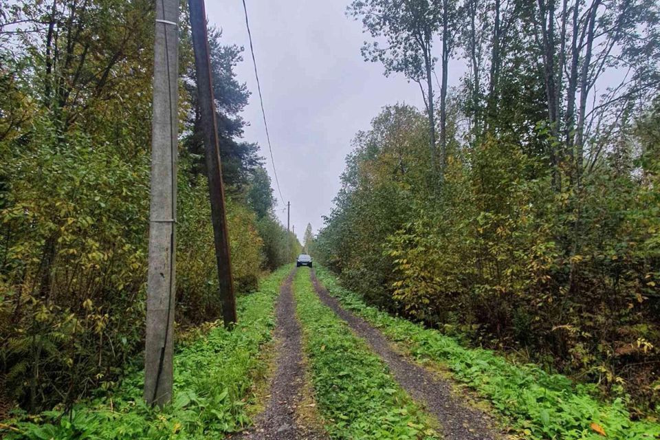 земля р-н Тосненский г Тосно снт Строитель фото 2