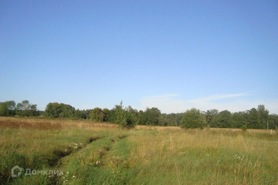 земля р-н Приозерский фото 1