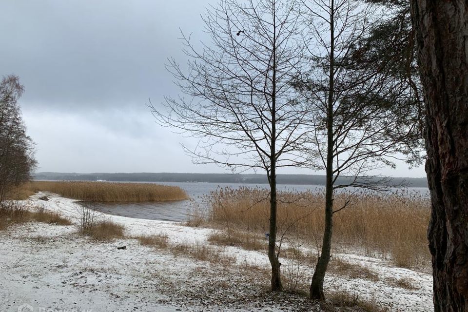 земля р-н Приозерский фото 4