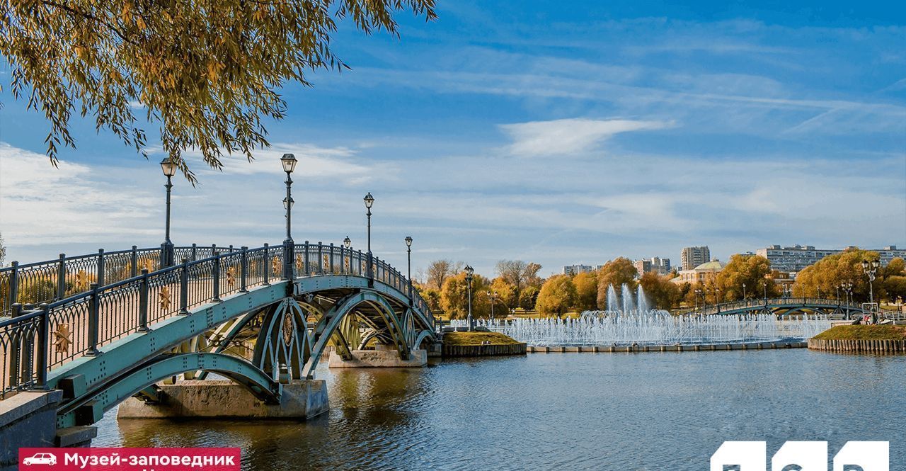 квартира г Москва метро Борисово фото 19