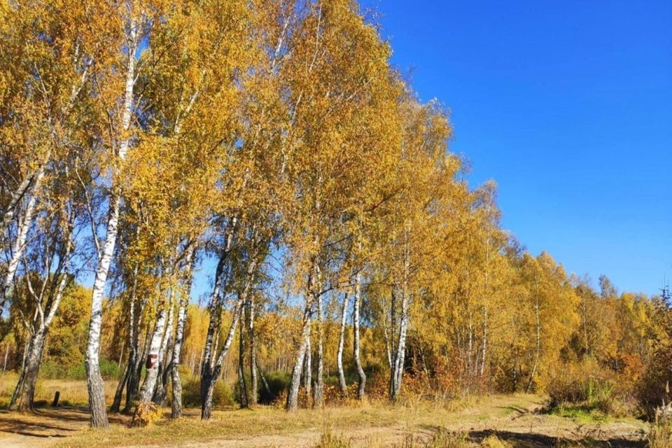 земля г Калуга ул Непокорённых Ленинградцев фото 1