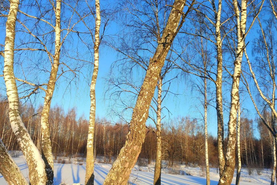 земля г Калуга ул Непокорённых Ленинградцев фото 1