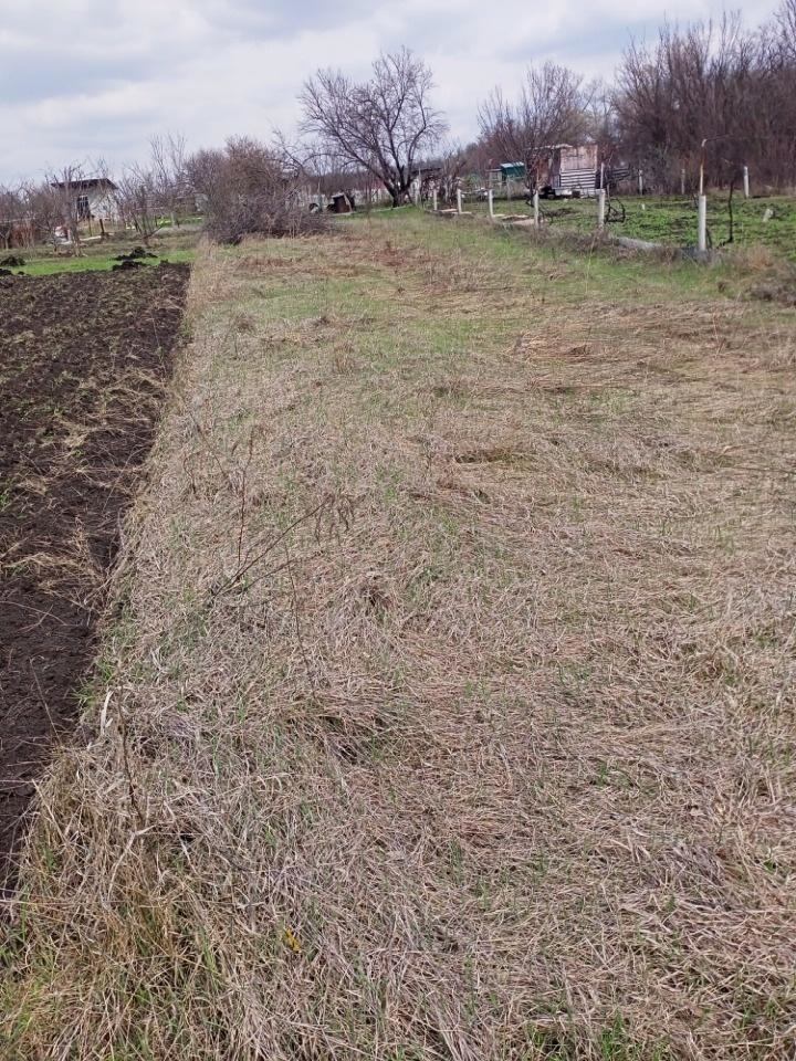 земля р-н Белгородский с Никольское снт Бродок фото 2