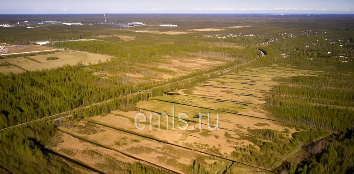 офис р-н Всеволожский п Щеглово 63 фото 5