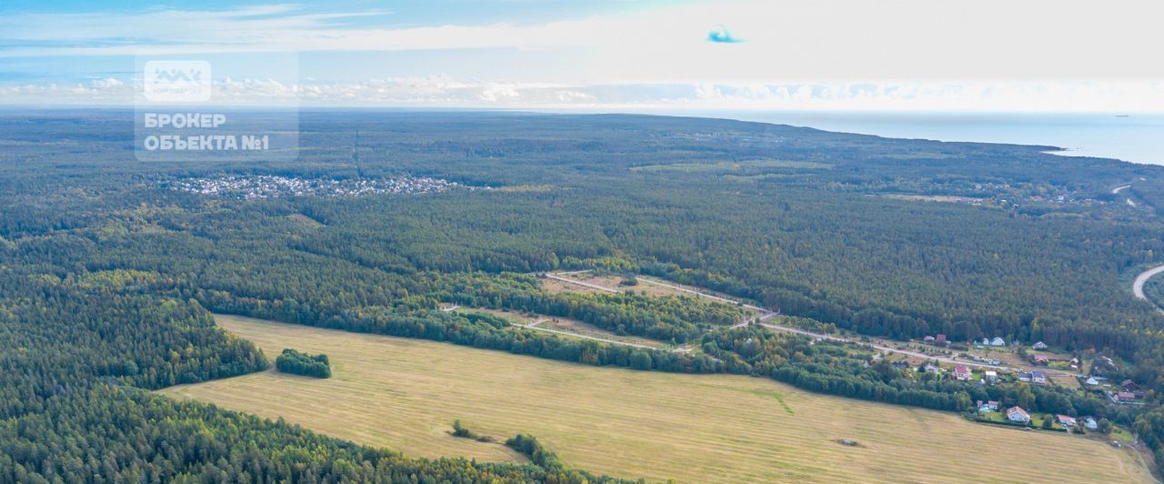 офис р-н Всеволожский д Озерки Приморское городское поселение, Беговая, Выборгский район фото 2