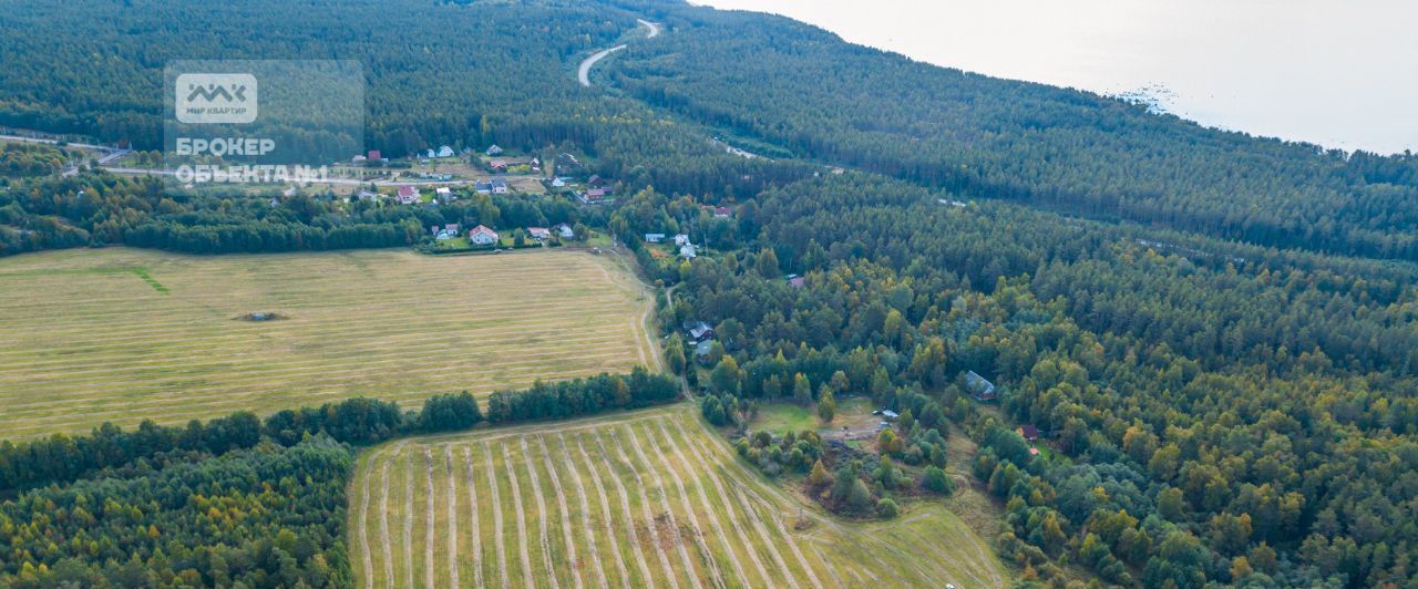 офис р-н Всеволожский д Озерки Приморское городское поселение, Беговая, Выборгский район фото 3