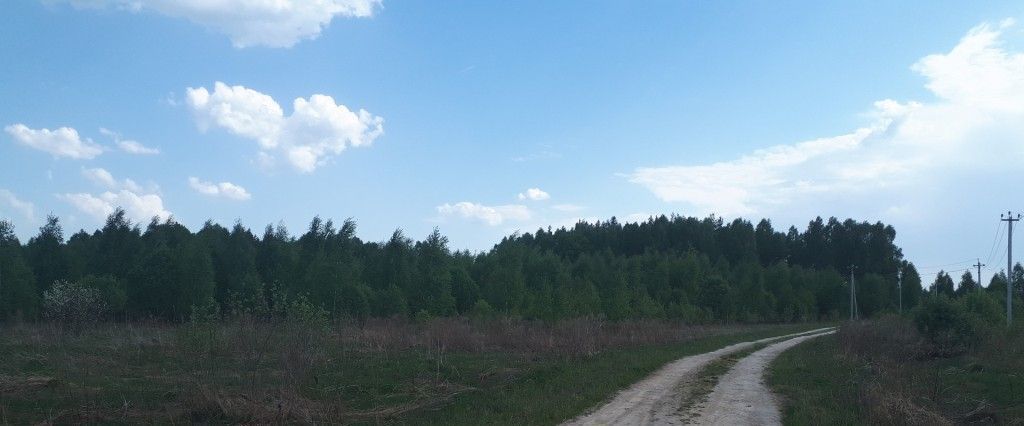 офис р-н Богородский д Сухоблюдное фото 4