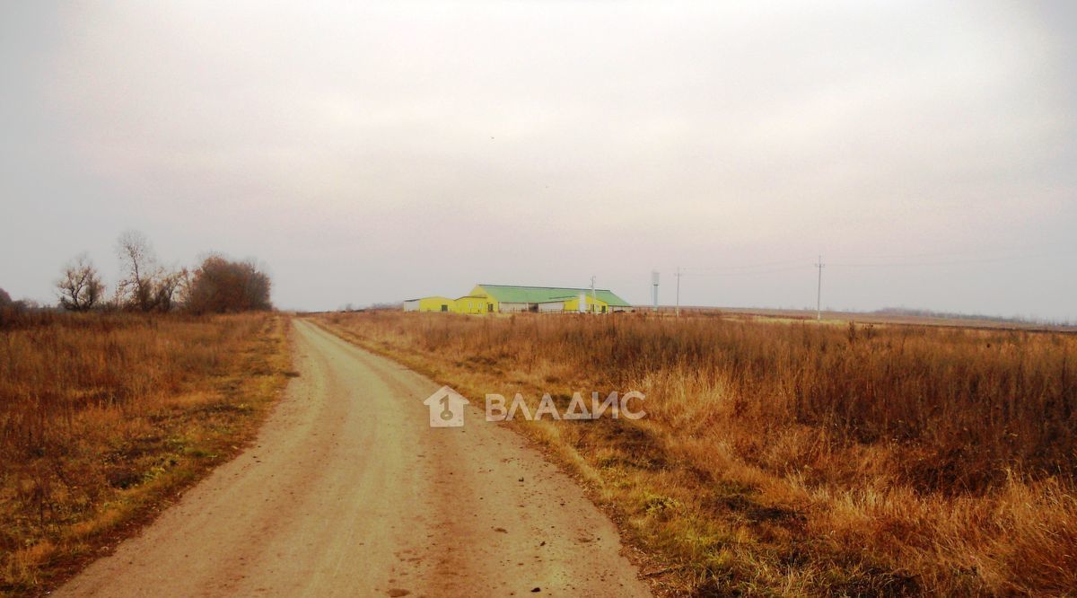 офис р-н Белгородский с Севрюково ул Лупандина Беловское с пос фото 7
