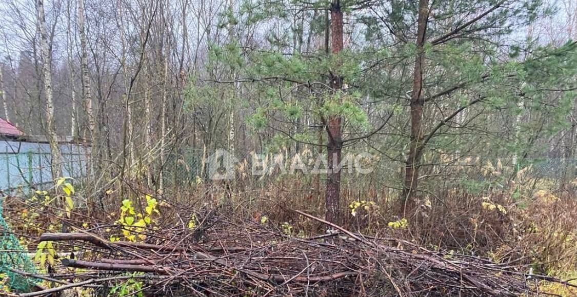 земля р-н Всеволожский массив Карьер Мяглово снт Керамика Колтушское сельское поселение, 15-я линия, Хапо-Ое фото 1